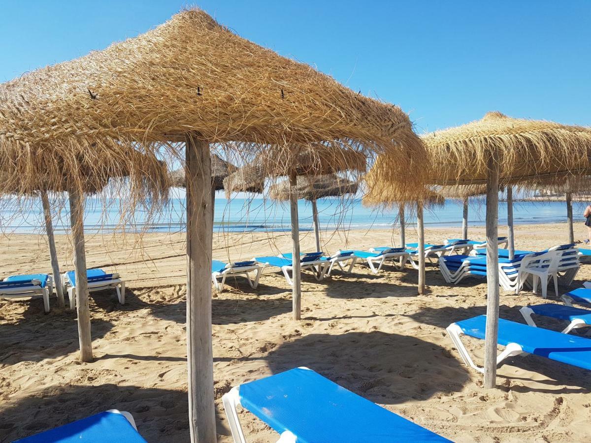 托雷维耶哈Vip, First Line,Sea View, Beach公寓 外观 照片